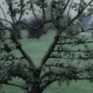 Meet your Posher, Sylvia